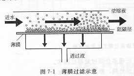 ��Ĥ����ʾ��