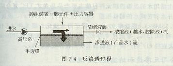 ����͸����